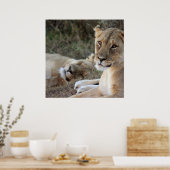 Poster du lion (Cuisine)