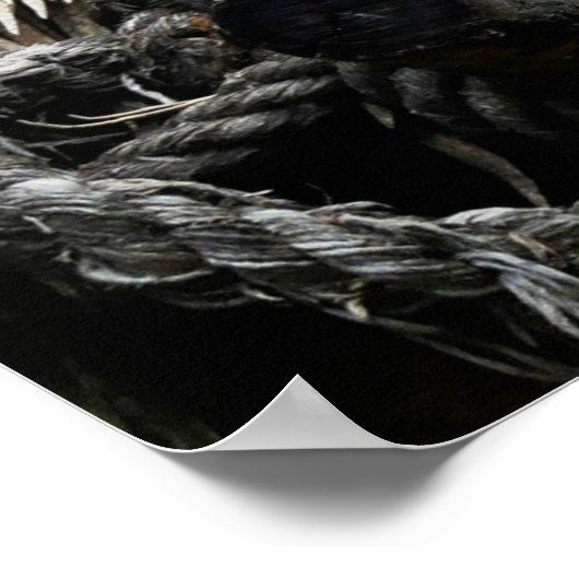 Poster du lion (Coin)