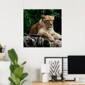 Poster du lion (Bureau à domicile)