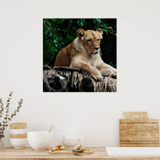 Poster du lion (Cuisine)