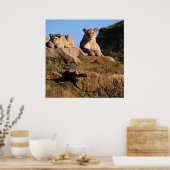 Poster du lion (Cuisine)