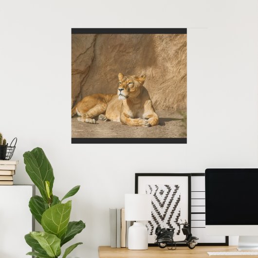 Poster du lion (Bureau à domicile)
