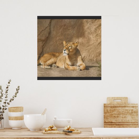 Poster du lion (Cuisine)