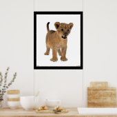 Poster du Lion Baby (Cuisine)