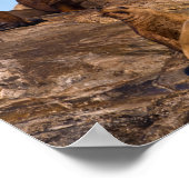 Poster du lion de mer (Coin)