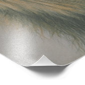 Poster du Lion du Seigneur de la Jungle (Coin)