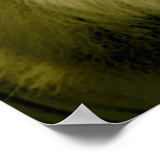 Poster du lion rugissant Imprimer (Coin)