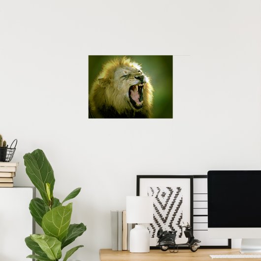 Poster du lion rugissant Imprimer (Bureau à domicile)