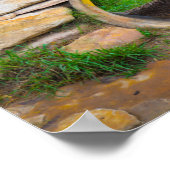 Poster du lion signé (Coin)