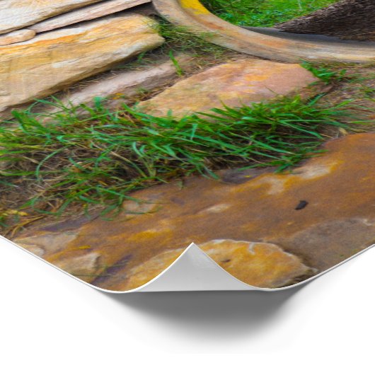 Poster du lion signé (Coin)