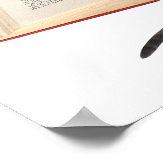 Poster du livre de lecture de chats (Coin)