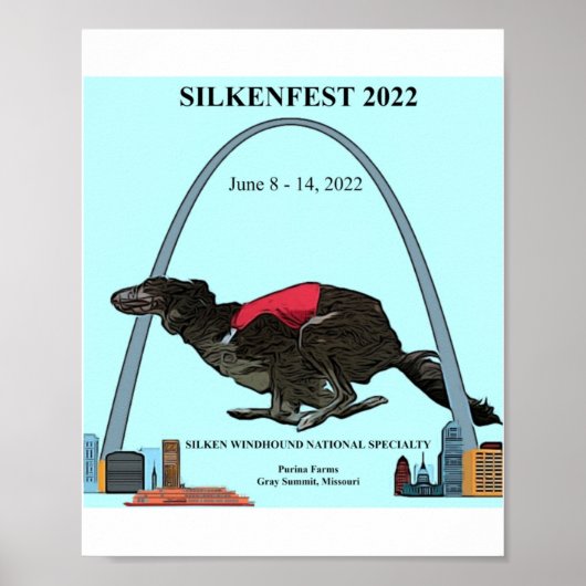 Poster du logo Silkenfest 2022 (Devant)