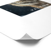 Poster du loup de Yellowstone (Coin)