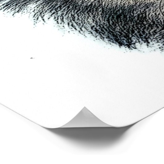 Poster du loup gris (Coin)