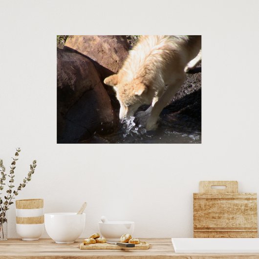 Poster du loup gris (Cuisine)