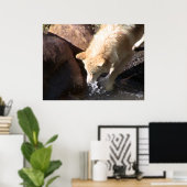 Poster du loup gris (Bureau à domicile)