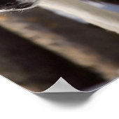 Poster du loup gris (Coin)