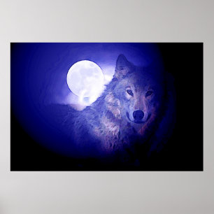 Poster du loup gris et de la lune Imprimer - Loup