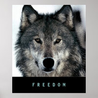 Poster du Loup Motivation moderne Imprimer