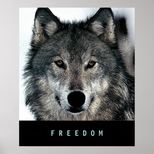 Poster du Loup Motivation moderne Imprimer (Devant)