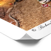 Poster du Maine de la Maison des douanes des États (Coin)