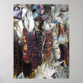 Poster du maïs indien (Devant)