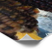 Poster du maïs indien (Coin)