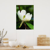 Poster du marais Magnolia (Cuisine)