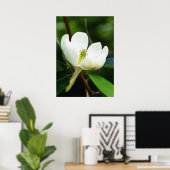 Poster du marais Magnolia (Bureau à domicile)
