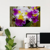 Poster du Maroon jaune et de l'Orchidée blanche (Bureau à domicile)