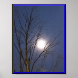 Poster du matin au clair de lune