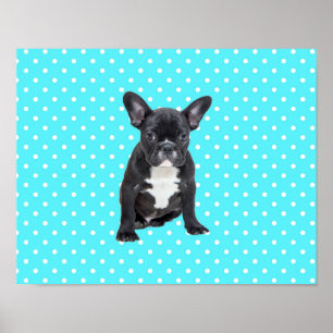 Poster du mignon Français Bulldog Blue Pois