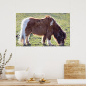 Poster du Mini Horse (Cuisine)