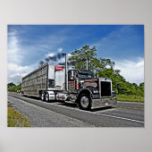 Poster du modèle B Brown (Devant)