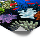 Poster du monde marin (Coin)