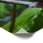 Poster du moniteur d'eau de Merten signé (Coin)