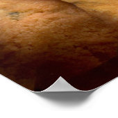 Poster du Monstre Cookies (Coin)