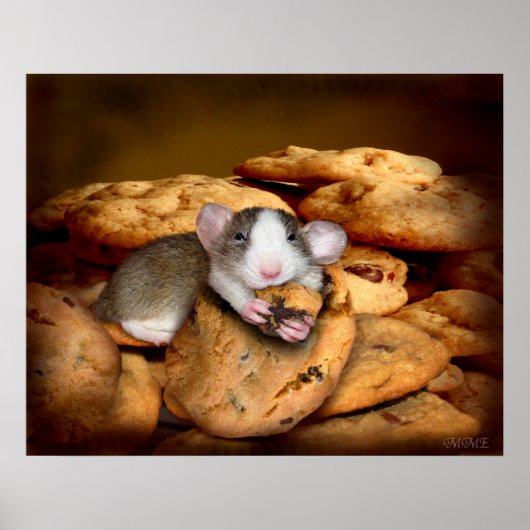 Poster du Monstre Cookies (Devant)