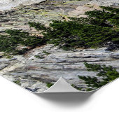 Poster du Mont Rushmore (Coin)