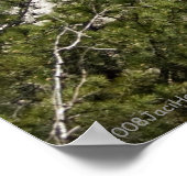 Poster du Mont Rushmore (Coin)