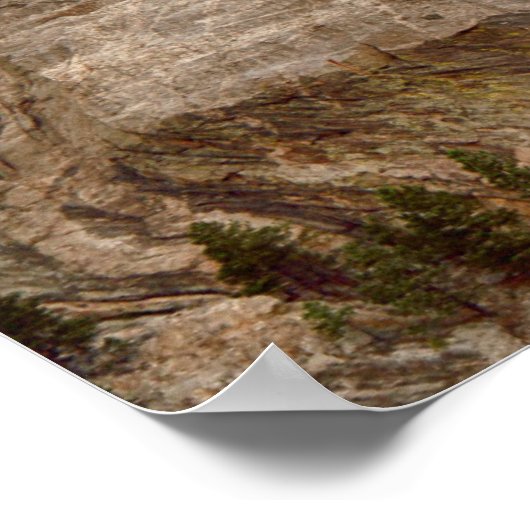 Poster du Mont Rushmore (Coin)