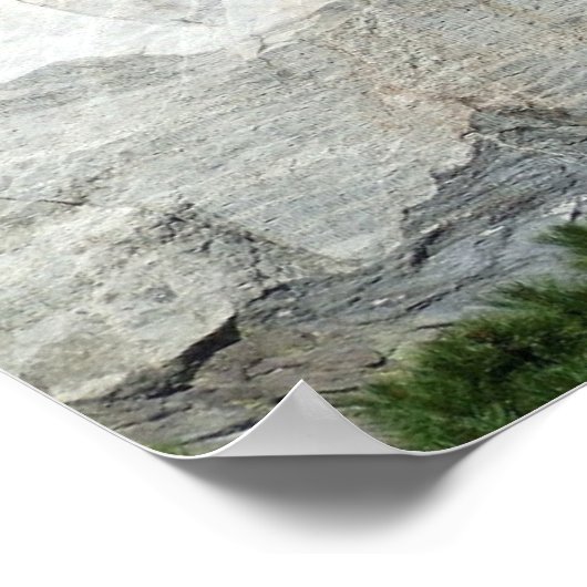 Poster du Mont Rushmore (Coin)