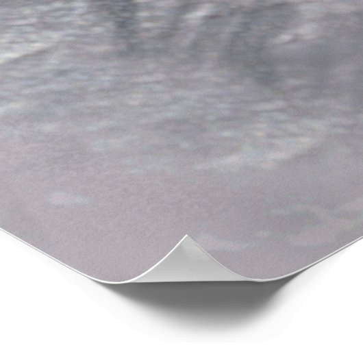 Poster du Mont Rushmore (Coin)