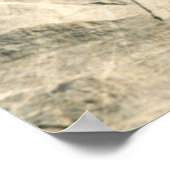 Poster du Mont Rushmore (Coin)