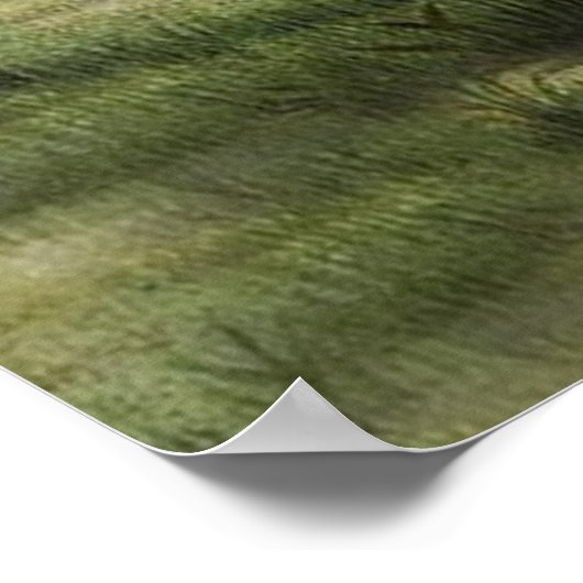 Poster du mouton (Coin)