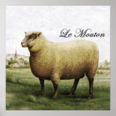 Poster du mouton (Devant)