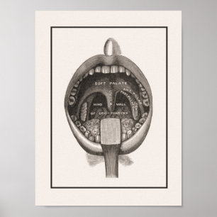 Poster du mur de brossage à dents