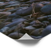 Poster du mur de la nature de Bonfire Lake Beach (Coin)