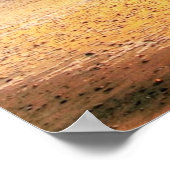 Poster du mur de la nature de la plage de l'océan  (Coin)