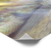 Poster du mur de la nature d'Iguana (Coin)